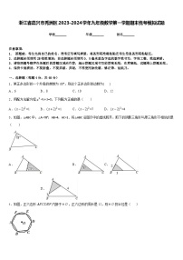 浙江省嘉兴市秀洲区2023-2024学年九年级数学第一学期期末统考模拟试题含答案