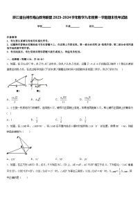 浙江省台州市海山教育联盟2023-2024学年数学九年级第一学期期末统考试题含答案