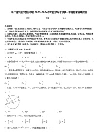 浙江省宁波市国际学校2023-2024学年数学九年级第一学期期末调研试题含答案