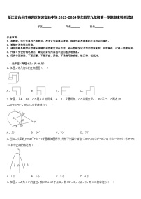 浙江省台州市黄岩区黄岩实验中学2023-2024学年数学九年级第一学期期末检测试题含答案