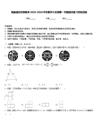 海南省定安县联考2023-2024学年数学九年级第一学期期末复习检测试题含答案