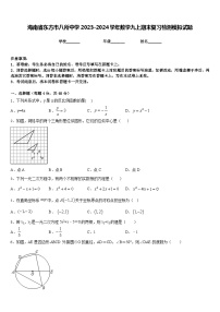 海南省东方市八所中学2023-2024学年数学九上期末复习检测模拟试题含答案