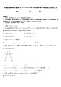 海南省海南师范大附属中学2023-2024学年九年级数学第一学期期末达标测试试题含答案