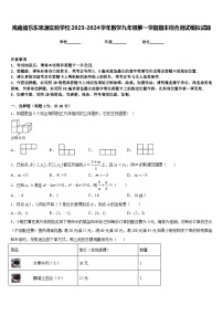 海南省乐东思源实验学校2023-2024学年数学九年级第一学期期末综合测试模拟试题含答案