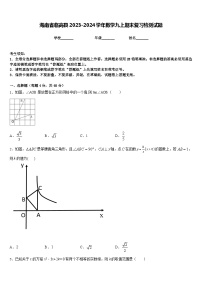 海南省临高县2023-2024学年数学九上期末复习检测试题含答案