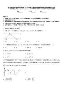 湖北恩施沙地中学2023-2024学年九上数学期末教学质量检测模拟试题含答案