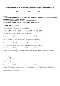 湖北武汉黄陂区2023-2024学年九年级数学第一学期期末达标检测模拟试题含答案