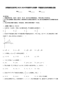 深圳锦华实验学校2023-2024学年数学九年级第一学期期末达标检测模拟试题含答案