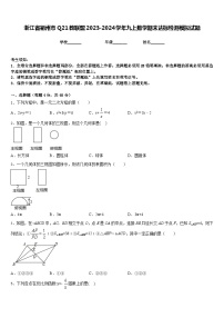 浙江省衢州市Q21教联盟2023-2024学年九上数学期末达标检测模拟试题含答案