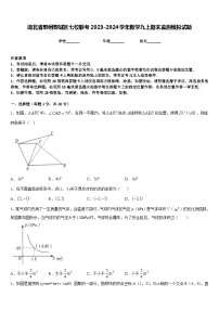 湖北省鄂州鄂城区七校联考2023-2024学年数学九上期末监测模拟试题含答案