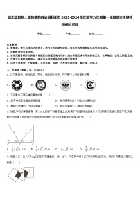 湖北省恩施土家族苗族自治州利川市2023-2024学年数学九年级第一学期期末质量检测模拟试题含答案