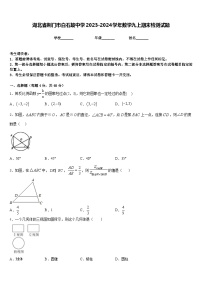 湖北省荆门市白石坡中学2023-2024学年数学九上期末检测试题含答案