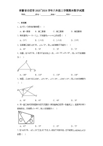 安徽省合肥市2023~2024学年八年级上学期期末数学试题(含答案)