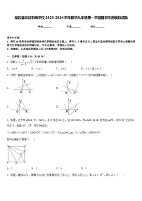 湖北省武汉市两学校2023-2024学年数学九年级第一学期期末检测模拟试题含答案