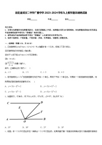 湖北省武汉二中学广雅中学2023-2024学年九上数学期末调研试题含答案