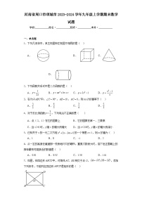 河南省周口市项城市2023-2024学年九年级上学期期末数学试题(含答案)