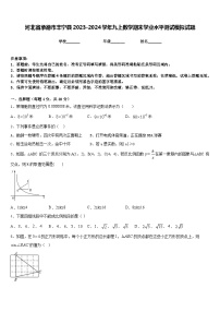 河北省承德市丰宁县2023-2024学年九上数学期末学业水平测试模拟试题含答案