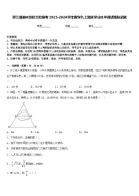 浙江省丽水地区五校联考2023-2024学年数学九上期末学业水平测试模拟试题含答案