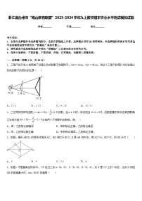 浙江省台州市“海山教育联盟”2023-2024学年九上数学期末学业水平测试模拟试题含答案