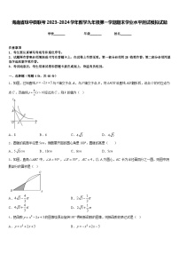 海南省琼中县联考2023-2024学年数学九年级第一学期期末学业水平测试模拟试题含答案