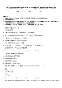 浙江省绍兴柯桥区七校联考2023-2024学年数学九上期末学业水平测试试题含答案