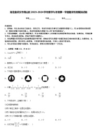 湖北省武汉市青山区2023-2024学年数学九年级第一学期期末检测模拟试题含答案