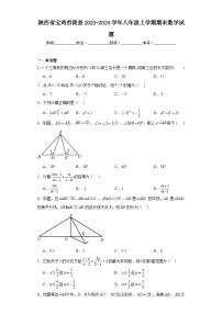 陕西省宝鸡市陇县2023-2024学年八年级上学期期末数学试题(含答案)