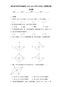 陕西省西安市西咸新区2023-2024学年九年级上学期期末数学试题(含答案)