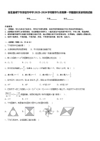 湖北省咸宁市赤壁市中学2023-2024学年数学九年级第一学期期末质量检测试题含答案