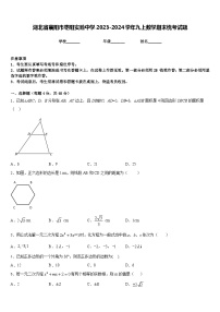湖北省襄阳市枣阳实验中学2023-2024学年九上数学期末统考试题含答案