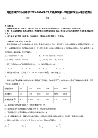 湖北省咸宁市马桥中学2023-2024学年九年级数学第一学期期末学业水平测试试题含答案