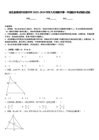 湖北省黄冈市初级中学2023-2024学年九年级数学第一学期期末考试模拟试题含答案