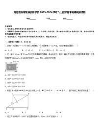 湖北省麻城思源实验学校2023-2024学年九上数学期末调研模拟试题含答案