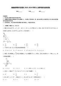 湖南省邵阳市北塔区2023-2024学年九上数学期末监测试题含答案