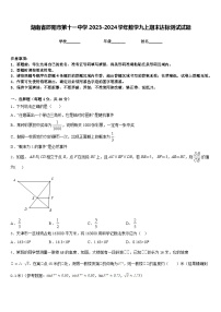 湖南省邵阳市第十一中学2023-2024学年数学九上期末达标测试试题含答案