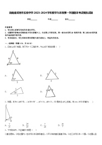 湖南省武冈市实验中学2023-2024学年数学九年级第一学期期末考试模拟试题含答案