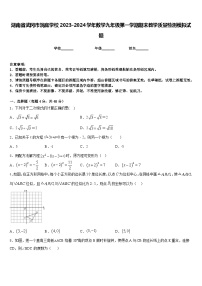 湖南省武冈市洞庭学校2023-2024学年数学九年级第一学期期末教学质量检测模拟试题含答案