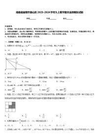 湖南省益阳市赫山区2023-2024学年九上数学期末监测模拟试题含答案