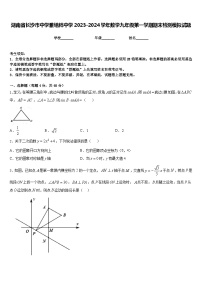 湖南省长沙市中学雅培粹中学2023-2024学年数学九年级第一学期期末检测模拟试题含答案