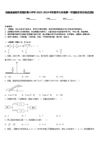 湖南省益阳市资阳区第六中学2023-2024学年数学九年级第一学期期末综合测试试题含答案