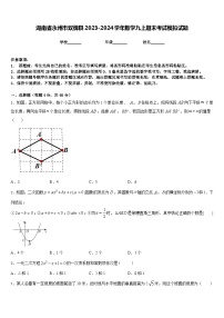 湖南省永州市双牌县2023-2024学年数学九上期末考试模拟试题含答案