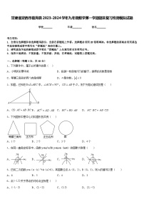 甘肃省定西市临洮县2023-2024学年九年级数学第一学期期末复习检测模拟试题含答案