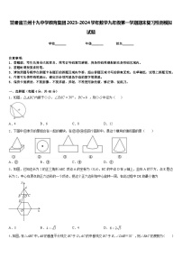 甘肃省兰州十九中学教育集团2023-2024学年数学九年级第一学期期末复习检测模拟试题含答案