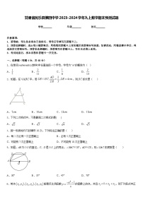 甘肃省民乐县第四中学2023-2024学年九上数学期末预测试题含答案