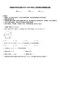 甘肃省平凉市庄浪县2023-2024学年九上数学期末经典模拟试题含答案