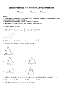 湖南省长沙市雅礼集团2023-2024学年九上数学期末调研模拟试题含答案