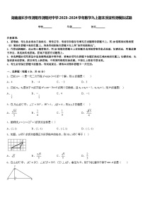 湖南省长沙市浏阳市浏阳河中学2023-2024学年数学九上期末质量检测模拟试题含答案