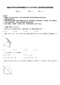 湖南长沙市师大附中教育集团2023-2024学年九上数学期末质量检测试题含答案