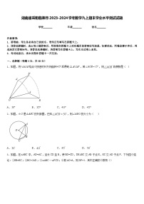 湖南省岳阳临湘市2023-2024学年数学九上期末学业水平测试试题含答案