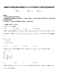 湖南省长沙市雨花区雅礼教育集团2023-2024学年数学九上期末综合测试模拟试题含答案